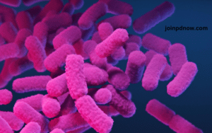 CDC Guidelines for Managing Diarrhea 1