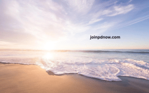 The Bachelor June Nguyen Si Kha Softer Memories 2022 1
