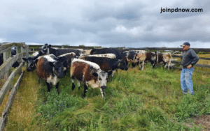 Tyrendarra on Foot 1