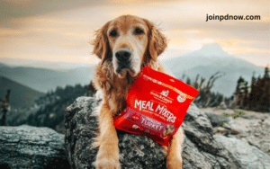 Pet Advertising